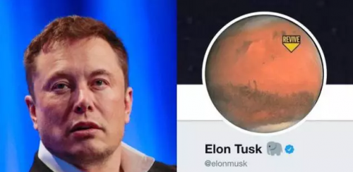 QQ截图20190228104417