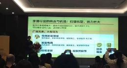 年成交额超3000亿元 极有家或将成为淘宝的下一个万亿市场