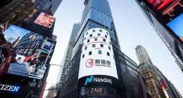 营收下滑96%，亏损率502%，和信贷怎么了？