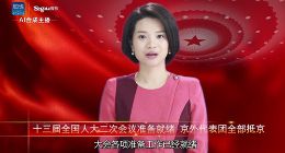 全球首个AI合成女主播上岗两会：搜狗黑科技背后的技术革命