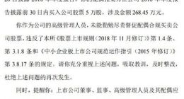 比亚迪高级管理人员王传方收到深交所中小板监管函