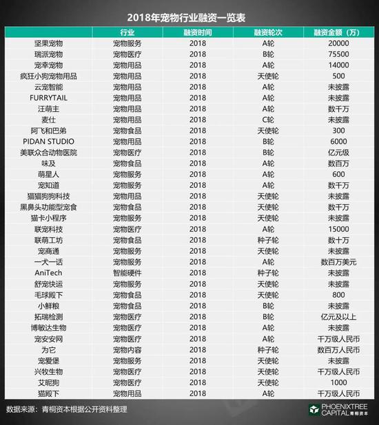 猫爪杯背后,互联网宠物经济正在进入大众消费