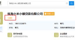 小米旗下小额贷款公司注销：实际控制人为雷军