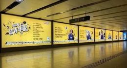 被曝水军刷简历 高晓松能拯救智联招聘的中年危机吗？