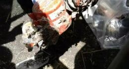 埃航最后六分钟曝光 新浪关闭攻击遇害者帐号