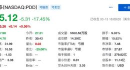 拼多多高速增长背后：为了转型促销 一个季度亏了20多亿