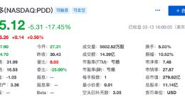 拼多多第四季度经营亏损超20亿元 股价大跌17.45%