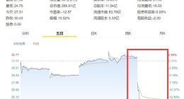 美股开盘拼多多股价大跌：跌幅达到17.45%