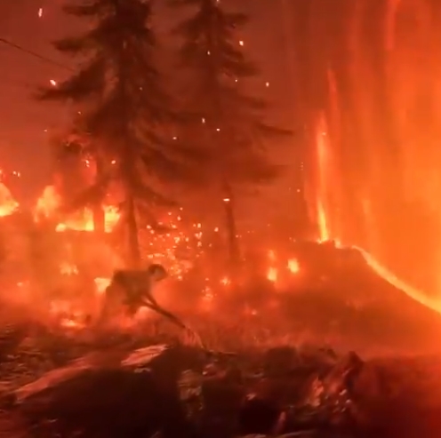 s_d828b56075e64032a3ec1aa5587d7b9f