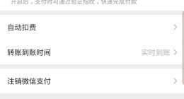 久等了：三星S10系列开始支持微信指纹支付