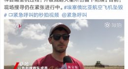 埃航事故目击者回忆客机坠机瞬间