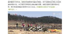 埃航考虑保留坠机现场，作永久纪念