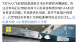 黑匣子调查结果：埃航空难同狮航空难明显相似！