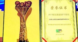 迅猛发展的合众e贷，背后究竟有着什么样的成功之道