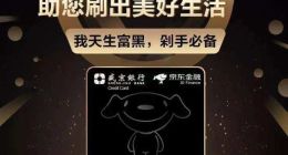 首月申请量超19万件 京东金融信用卡数字化运营成效初显