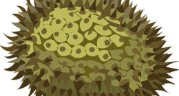 用户网购榴莲迟迟不取件，臭味引驿站老板崩溃