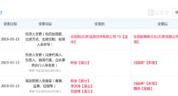 乐视网全资子公司