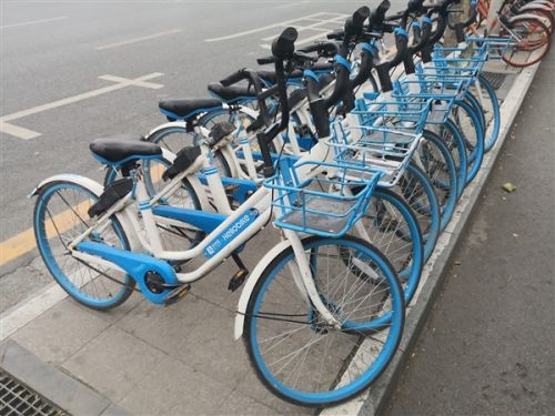 s_d9d8ca7389f94f539bc9fe46d810f778