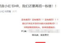 小红书回应裁员：不仅没裁员 还要扩招