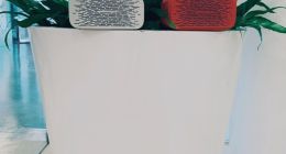 阿里巴巴宣布投入1亿元进行方言保护：从四川话开始