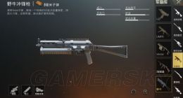 刺激战场野牛冲锋枪怎么样 野牛冲锋枪刷新位置一览