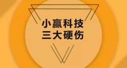 小赢科技暴力催收投诉不断 违规增信带来业务隐患