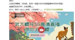 武大樱花官方5G直播：支持全国网友“云赏樱”
