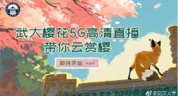 武大樱花5G直播 附直播观看地址