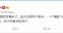 沈义人：OPPO Reno新机有两个版本
