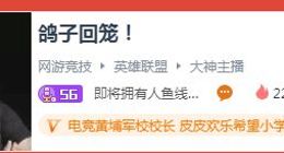 PDD鸽子回笼！斗鱼复播人气高达2000万