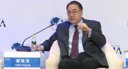 廖晓淇：跨境电商促进全球化发展