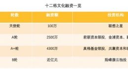 十二栋宣布获近亿元B轮融资 险峰旗云独投