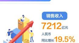 一图看懂华为2018年年报