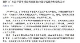 广东云浮男子搭设网站贩卖VR淫秽视频牟利获刑三年