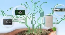 IC独角兽澜起科技冲击科创板