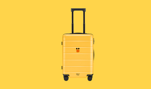 小米跨界联手LINE FRIENDS推出小米9 SE布朗熊限量套装3_副本