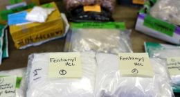 5月1日起，“芬太尼类物质”将按类纳入毒品管制范畴