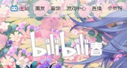 消息称Bilibili通过发行债券和股票筹集8.24亿美元