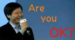 小米去年赚134亿：雷军低调担当年薪百亿员工