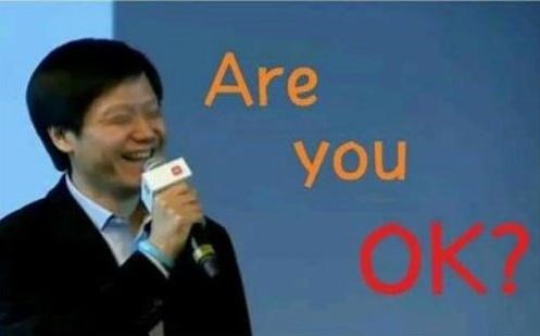 小米去年赚134亿:雷军年薪百亿,获发B股作薪酬