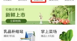 京东到家宣布开启“家居时尚”频道 将成今年重点提速发展方向