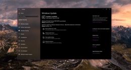 Windows 10 20H1预览版18875推送：拼音/五笔输入法深度优化
