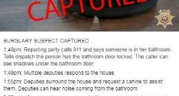 女子报警称家中出现入侵者 结果竟是扫地机器人