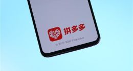 拼多多：坚定不移的打假