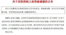 中科创实控人被捕 因涉黑社会网络融资