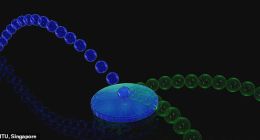 科学家发明了一台能够“预测多个未来”的量子计算机