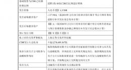首家境外企业科创板受理：曾与小米合作造平衡车 注册地开曼群岛