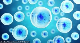 瑞士科学家首次在人体细胞中植入可编程电路 可用于治疗癌症