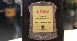 龙图游戏斩获2018年度最受期待游戏金苹果奖