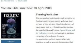 Nature重磅封面：科学家成功复活死亡猪脑